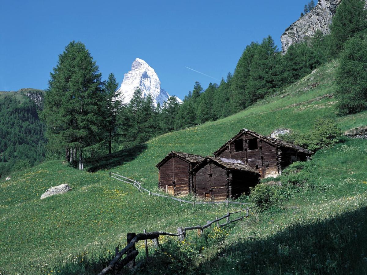 Apartment Oasis By Interhome Zermatt Buitenkant foto